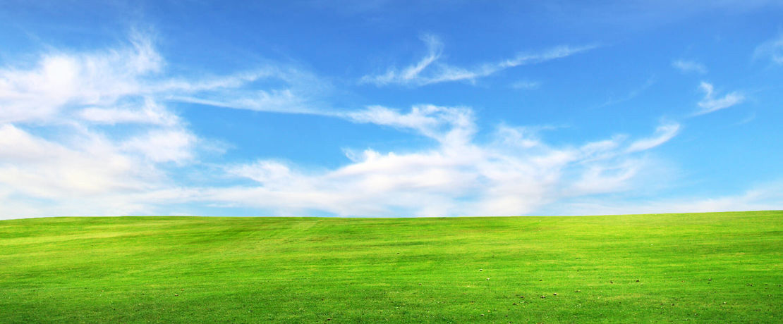 green meadow with blue sky and white clouds