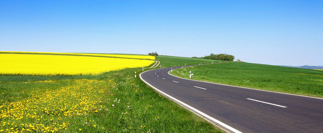 winding road between green meadow with dandelions and blue sky