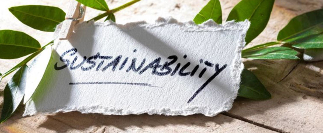 the word sustainability written on a piece of paper clipped to leaves