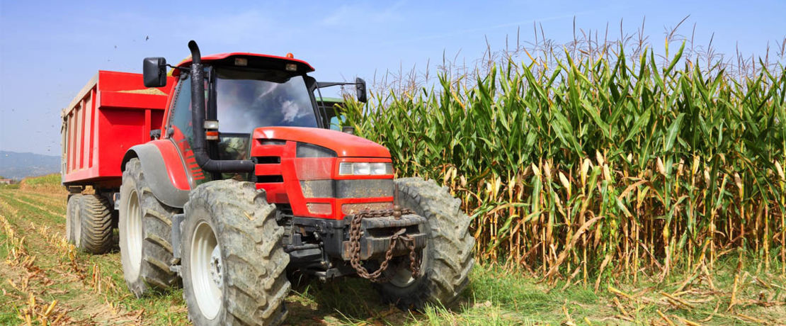 red agricultural tractor on a green field